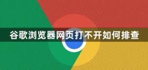 谷歌浏览器打不开网页？排查与解决方法